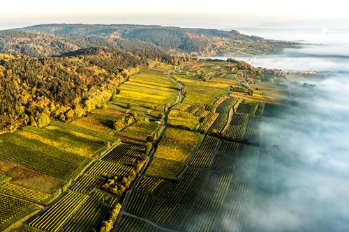 aerial_alte_setzen_large